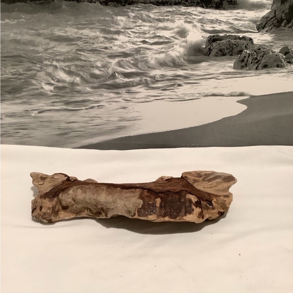 Driftwood , Driftwood Piece For Crafting ,Reptile Habitats - Picture 6 of 8